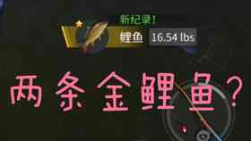 金铲铲文案短句：高质量、干净治愈、S9精选、治愈合集与搞笑集结