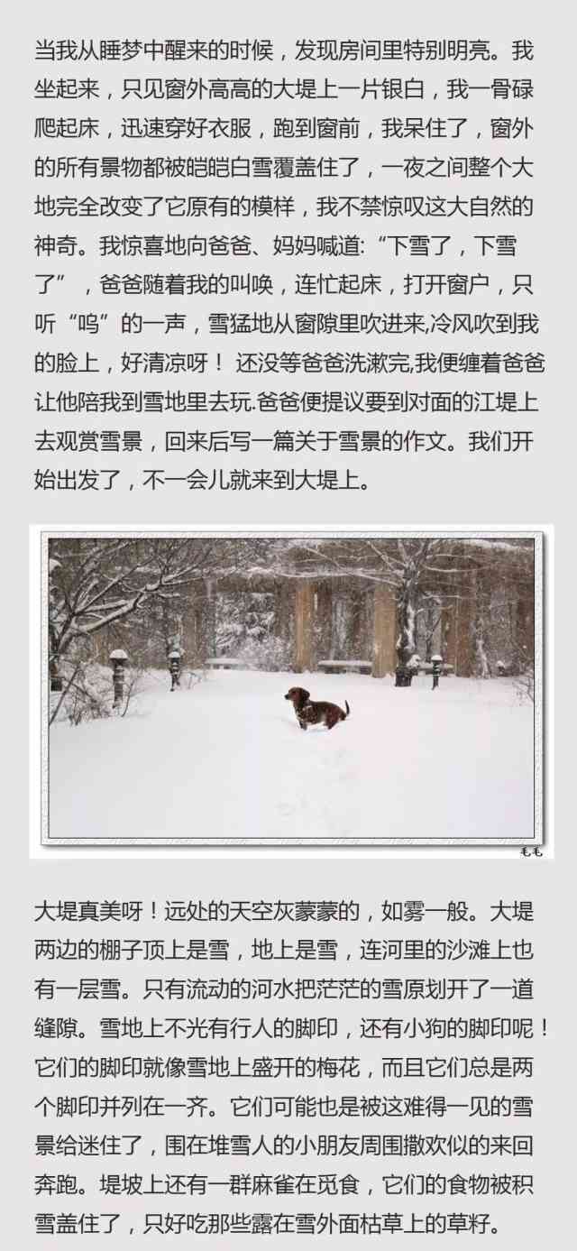 雪日记撰写指南：全面教程与实用技巧，解决所有相关问题