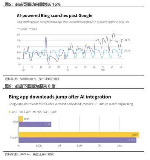 ai项目试验报告