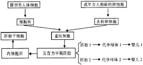 好几个病一起：如何治疗多种疾病并发的问题及联合诊疗方案