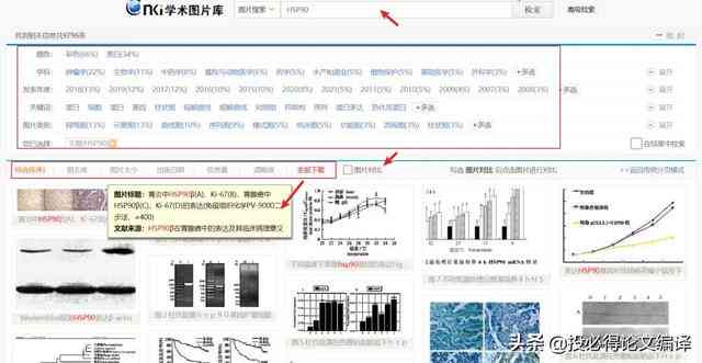 知网选题攻略：高效利用知网数据库进行科研选题指导