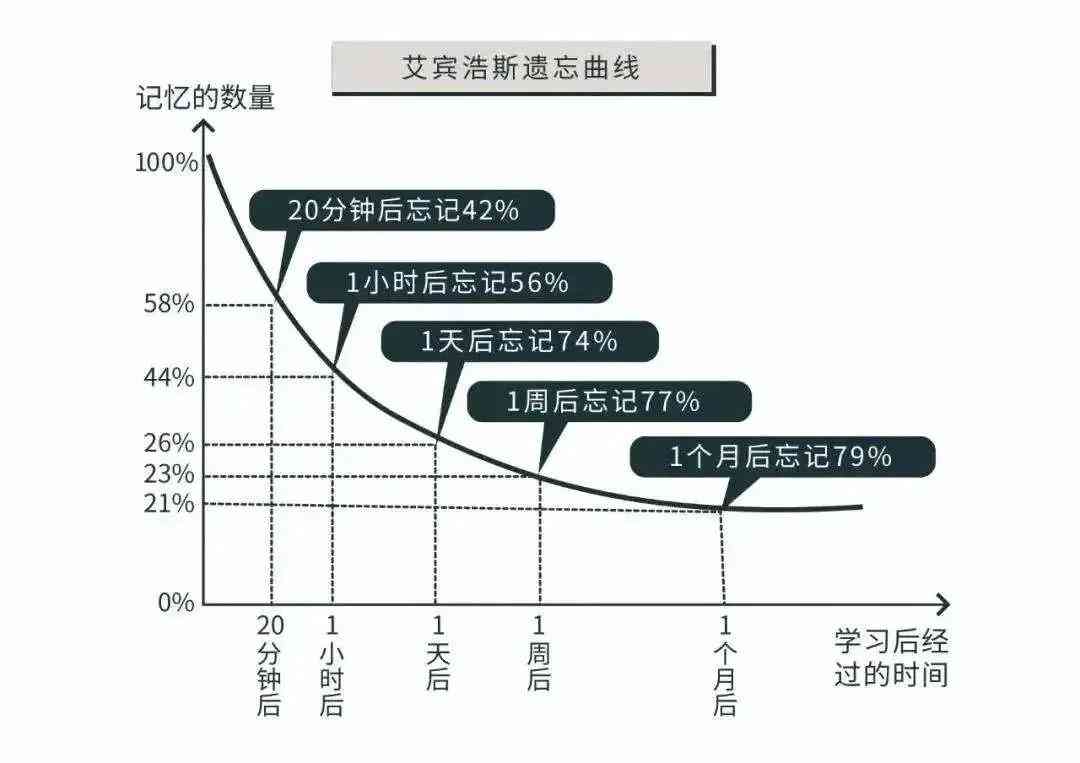 路词典如何结合宾浩斯记忆曲线提升英语学效率