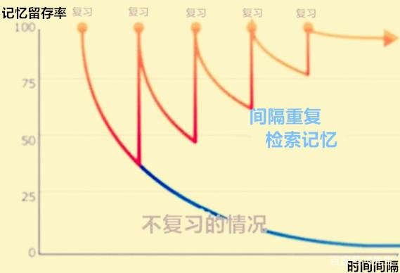 路词典如何结合宾浩斯记忆曲线提升英语学效率