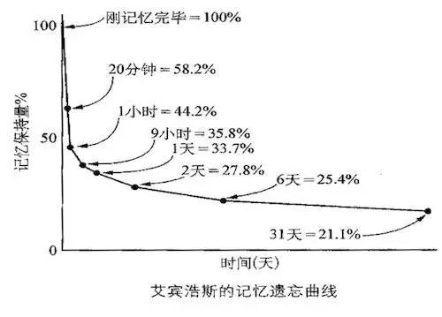 路词典如何结合宾浩斯记忆曲线提升英语学效率