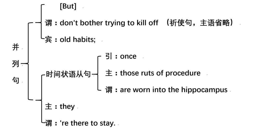 路词典如何结合宾浩斯记忆曲线提升英语学效率