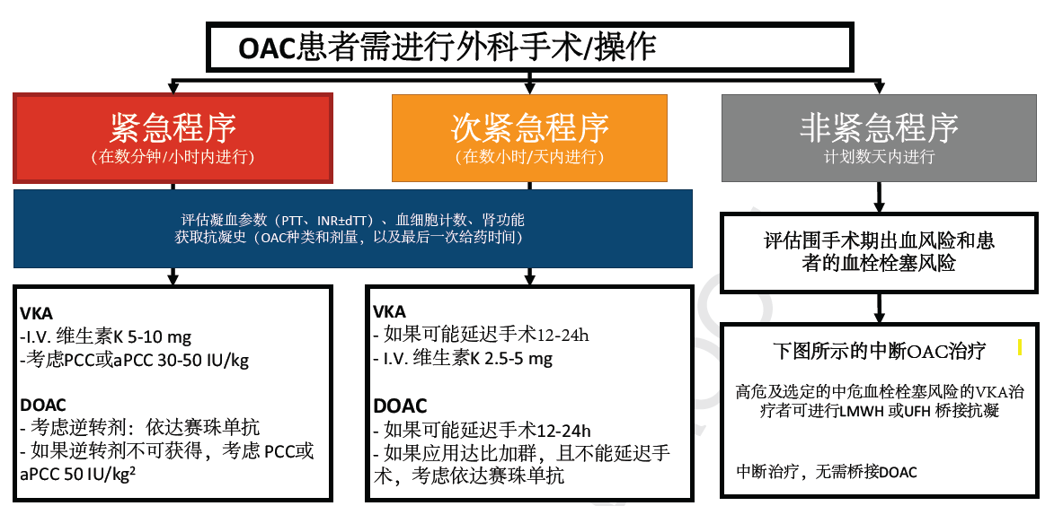 'AI启动时遭遇崩溃报告紧急处理指南'