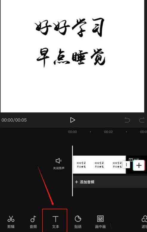 抖音如何自动生成语音：实现文字、播放、聊天及字幕功能教程