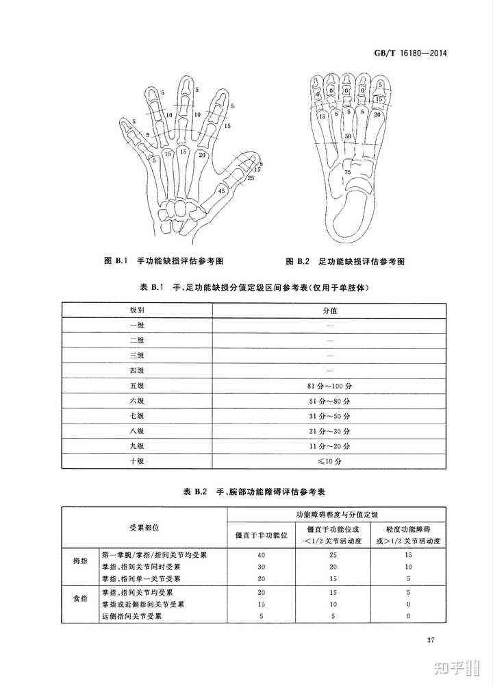 创伤性关节炎的伤残评级标准及认定流程详解