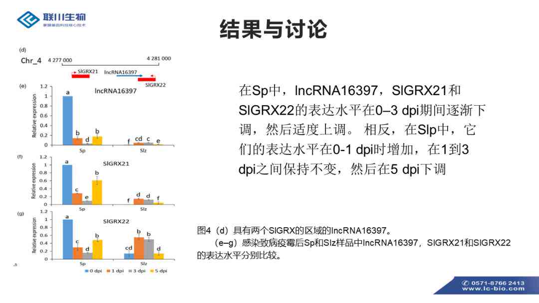 全面解析：创伤性关节炎伤残等级评定及赔偿标准指南