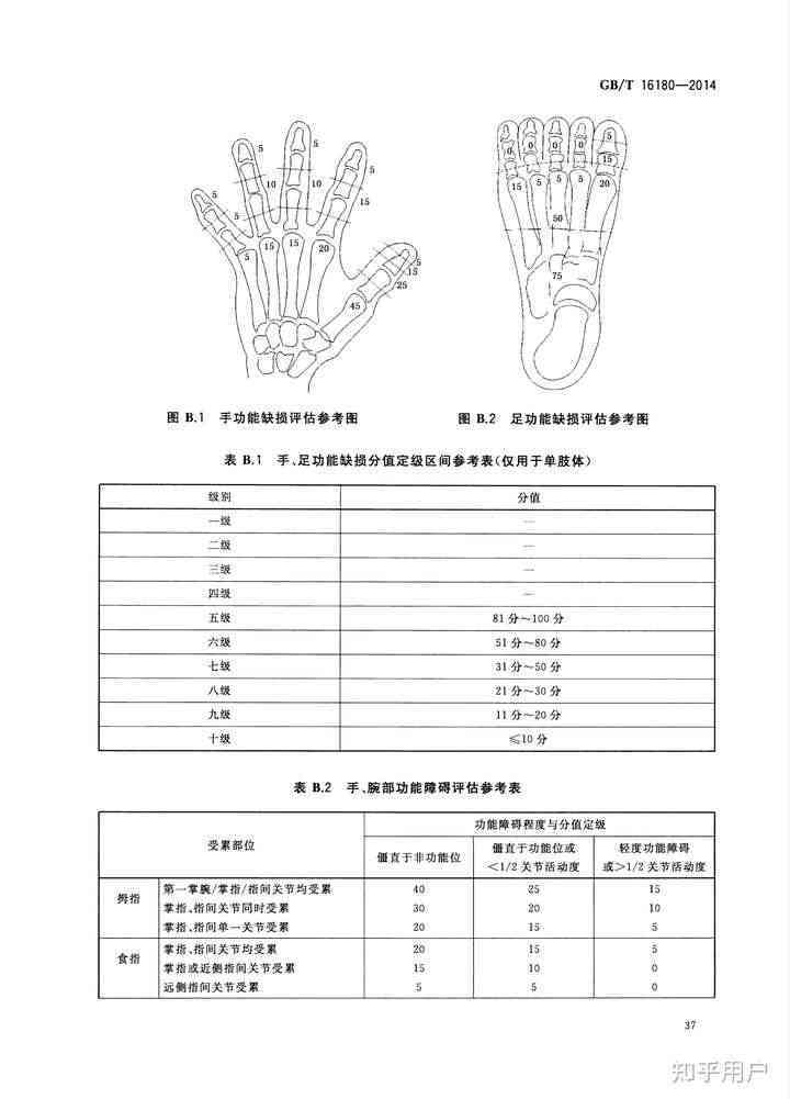 全面解析：创伤性关节炎伤残等级评定及赔偿标准指南