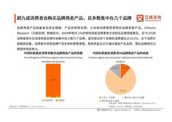 《全面解析AI行业：公司综合分析报告与市场趋势洞察指南》