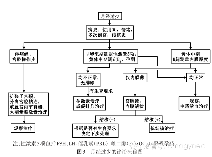 功能性子宫出血认定工伤：疾病分类、生育能力、治疗方法及自愈可能性探讨