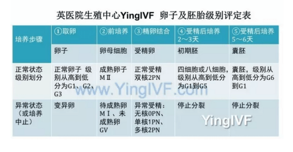 动迁安置人员怎样认定工伤等级：标准、高低判定及安置认定流程