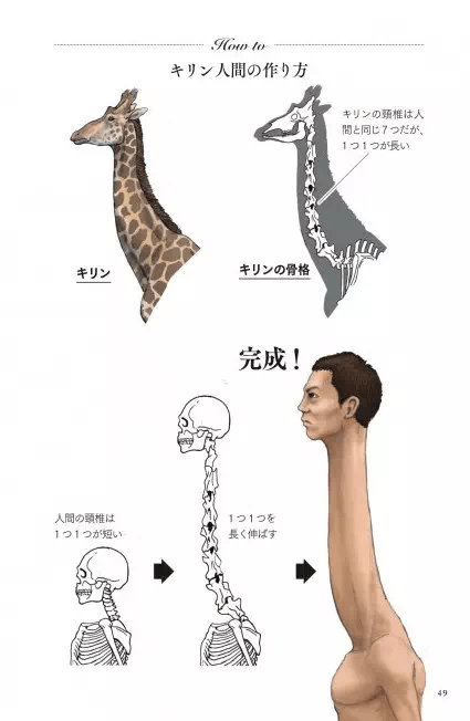 创新设计：灵活变形颈部结构