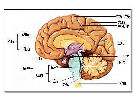 化学性食道炎怎么认定工伤