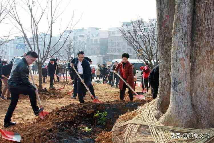 北苑街道办事处全新工作时安排