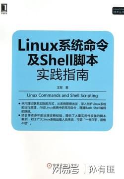 掌握AI脚本插件使用技巧：快速入门与实践指南