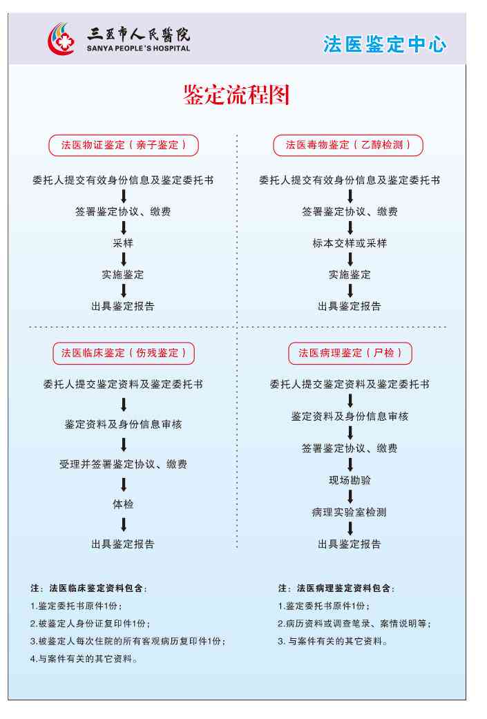 医疗损害鉴定流程详解：过错判断与因果关系鉴定指南