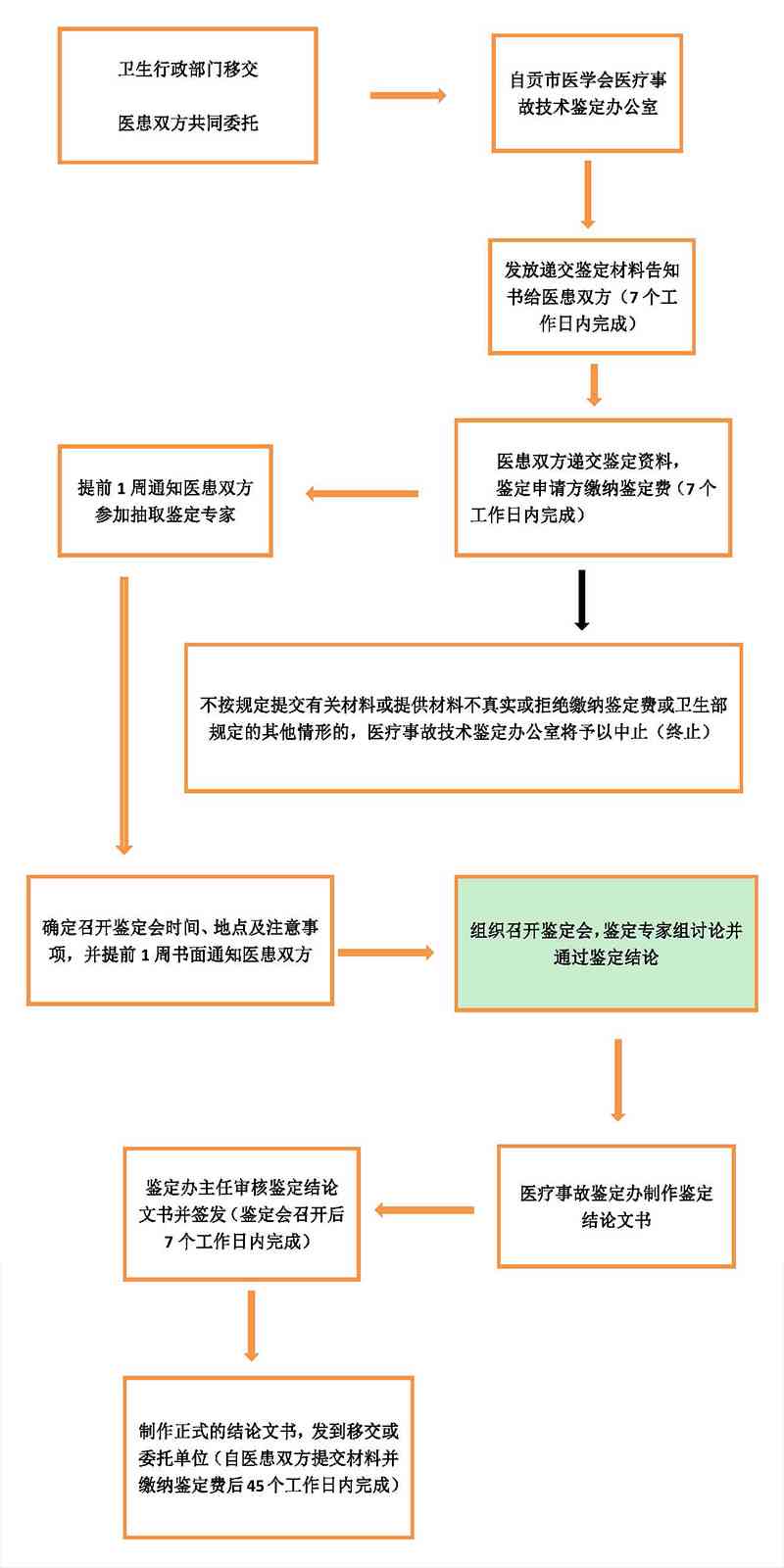 医疗损害鉴定流程详解：过错判断与因果关系鉴定指南