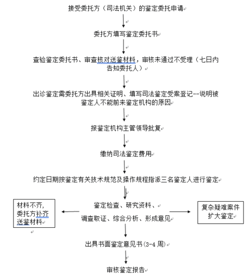 医疗损害鉴定流程详解：过错判断与因果关系鉴定指南