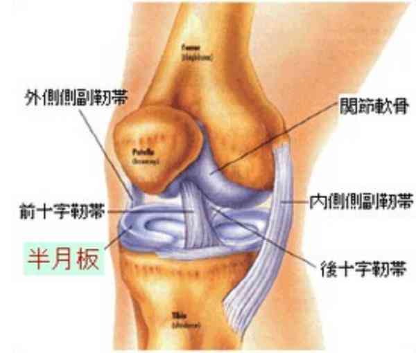 膝关节半月板劳损是否属于工伤认定范畴