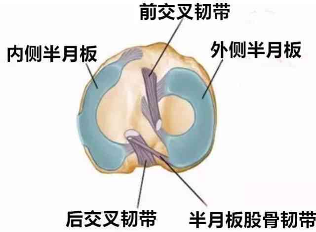 半月板损伤五年后认定工伤