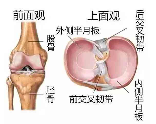 工作中的半月板损伤：工伤认定的标准与条件