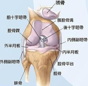 工作中的半月板损伤：工伤认定的标准与条件