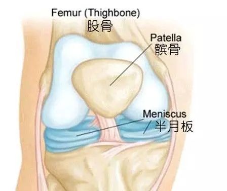 半月板损伤能认定工伤几级