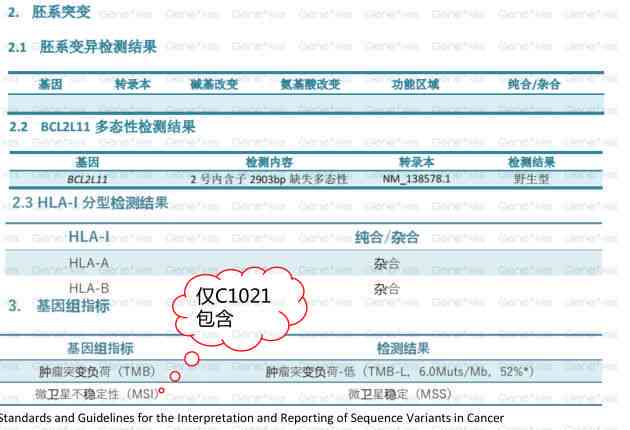 pdf检测报告是什么意思：含义与检查检验详解