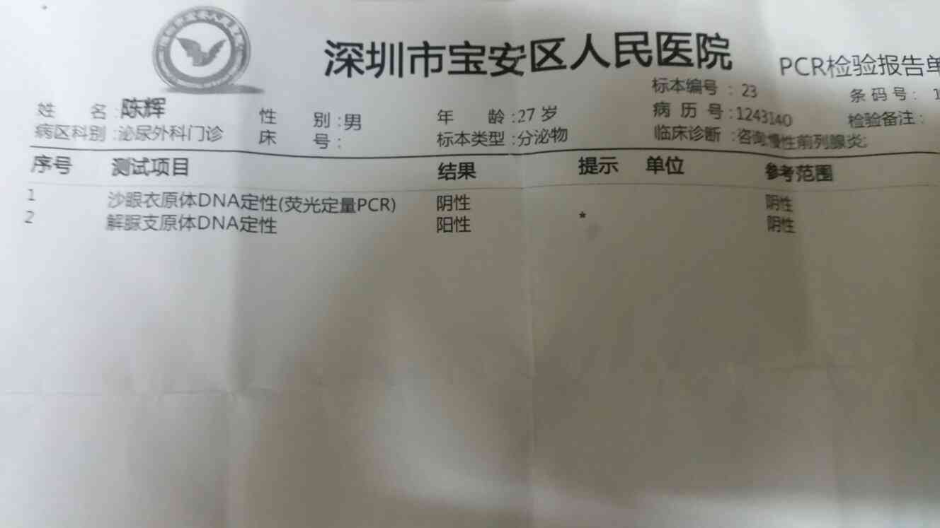 pdf检测报告是什么意思：含义与检查检验详解