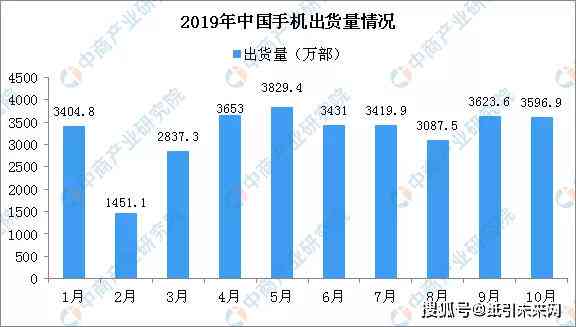 2019数据报告：CHFS与年报综合分析及2020年度更新