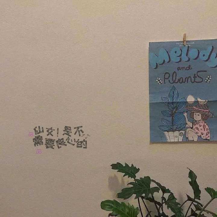 簪花文案朋友圈：如何撰写干净短句，打造美观文案