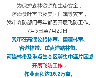 松鼠ai课程顾问培训心得体会：教育课程顾问工作实况与职业发展分享