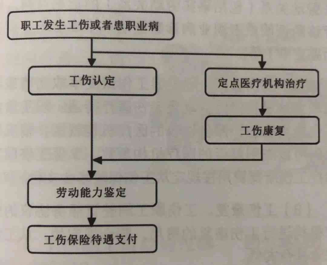 '单位职工工伤认定成功后权益保障与处理流程指南'