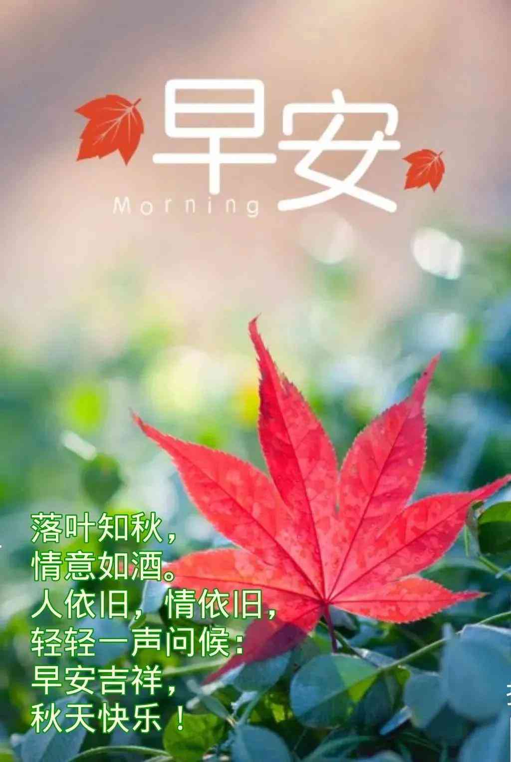 心语定制：情感语录创作助手