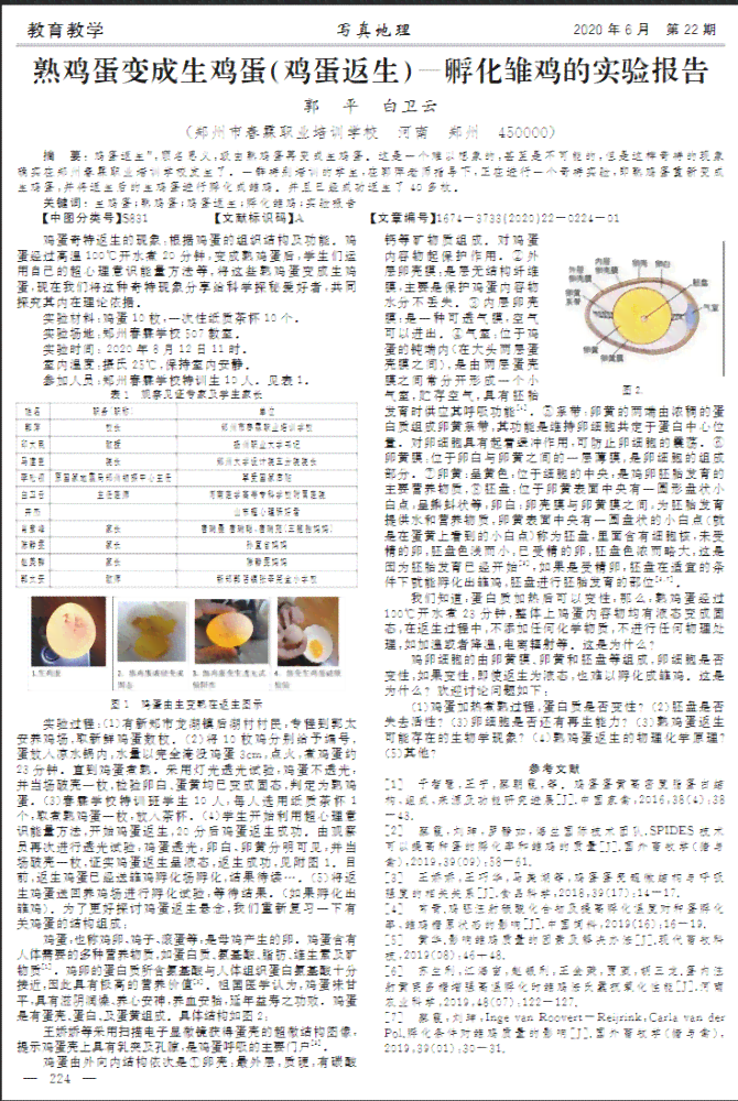 国内AI写作文论文：探讨写作辅助技术的应用与效果分析