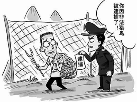 大学生作业代写服务收费是否触犯法律？