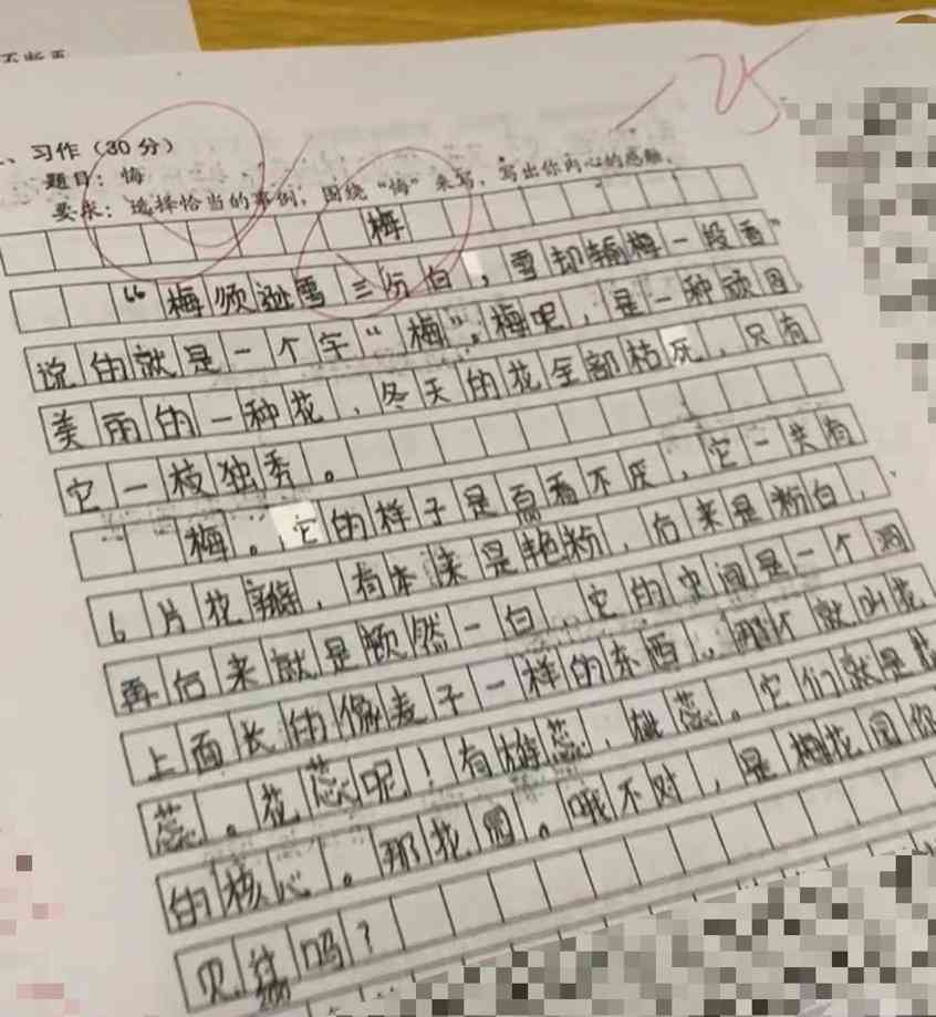 '智能作文检测与评分软件：一键评估学生写作水平'