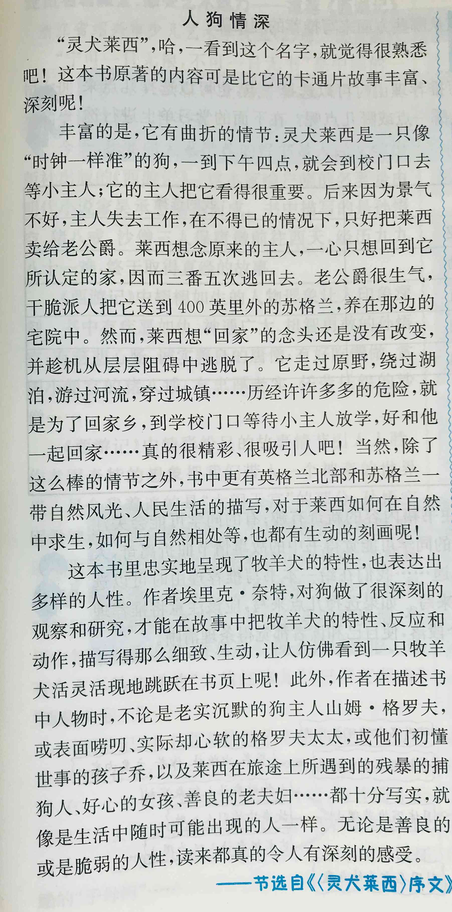 '智能作文检测与评分软件：一键评估学生写作水平'