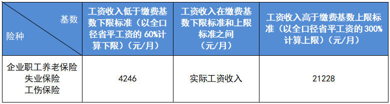 全面解析：员工工伤参保率标准与实现100%参保的策略与实践