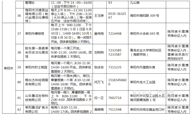 '基于社会实践的个人体验与成果：定制化代写报告指南'