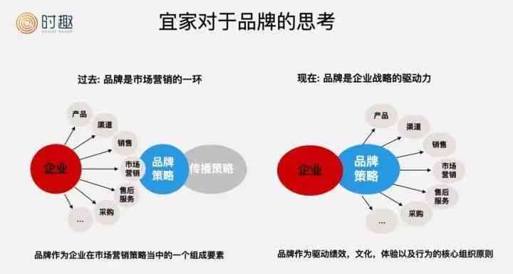 深入了解双高人群：定义、特点、影响与应对策略全解析