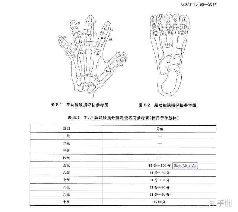 工伤等级认定中取钢板手术是否纳入评定标准