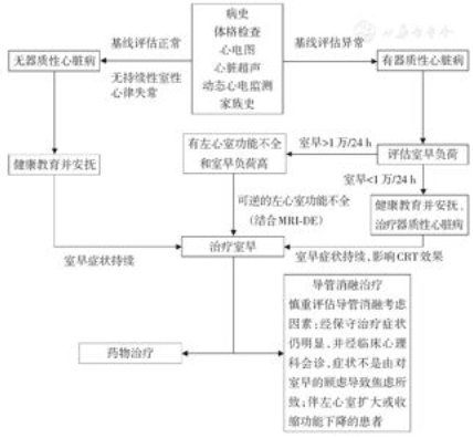 如何全面评定受伤程度：症状分析、诊断流程与恢复评估指南