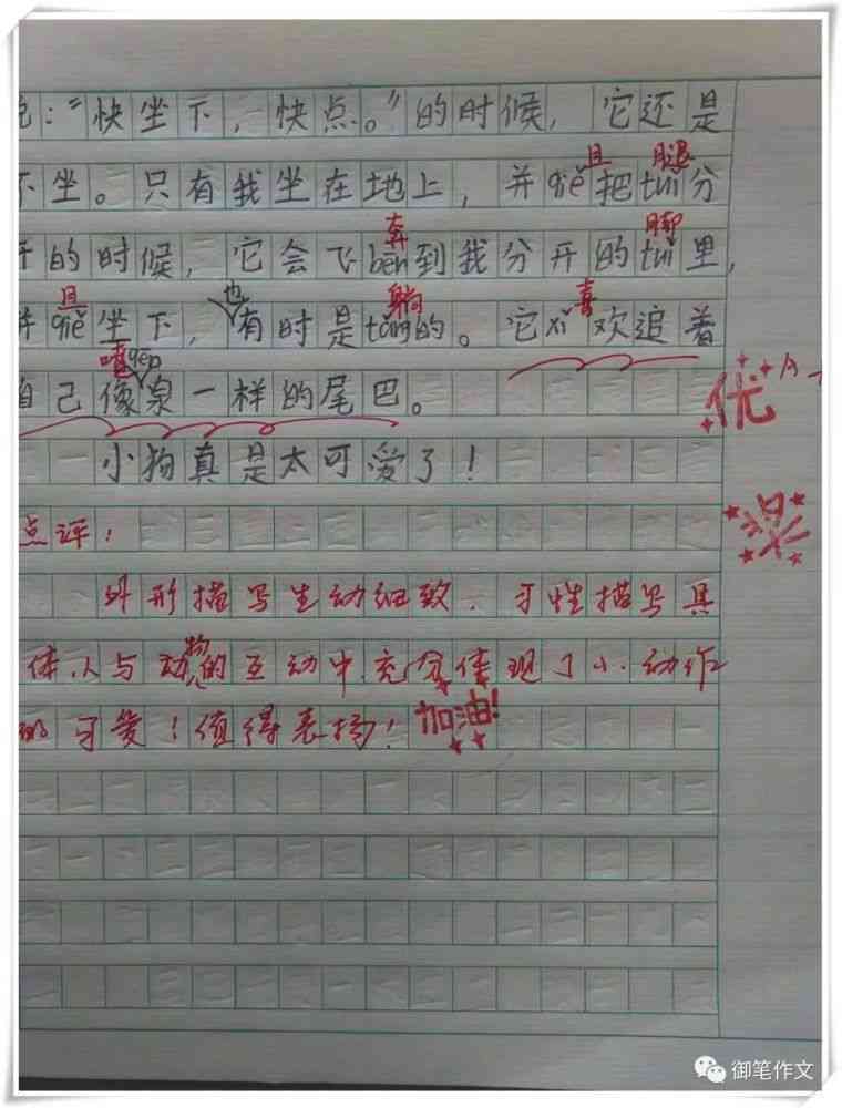 我对爱的看法作文：300字至800字全收录