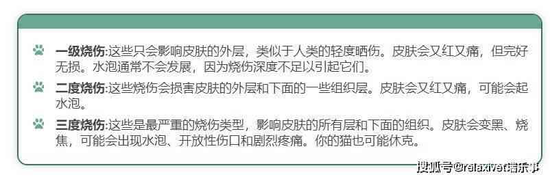 如何全面评估受伤程度：损伤评定与处理指南