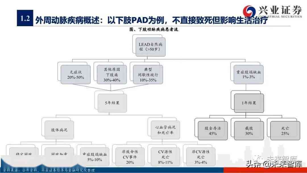 开题报告展示：内容、流程、交流与心得分享