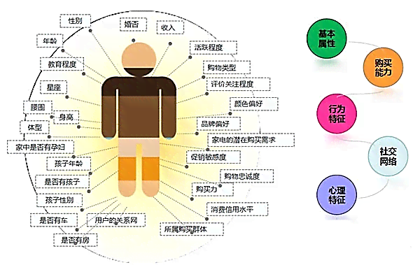 ai创作的用户画像是什么