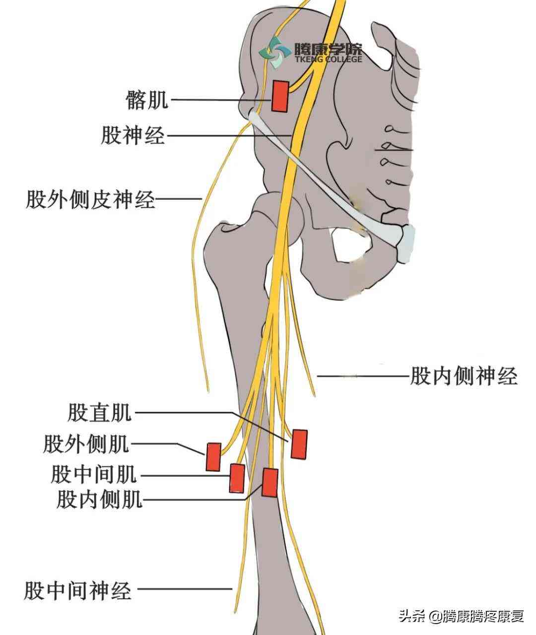 右下肢毁损伤是什么病及其原因、后遗症解释